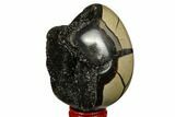 Septarian Dragon Egg Geode - Black Crystals #177390-2